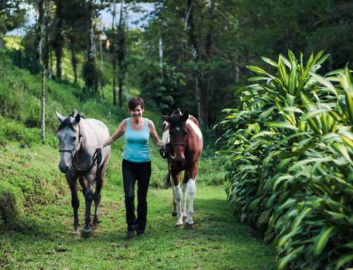 Costa Rica