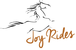 Joy Rides Logo