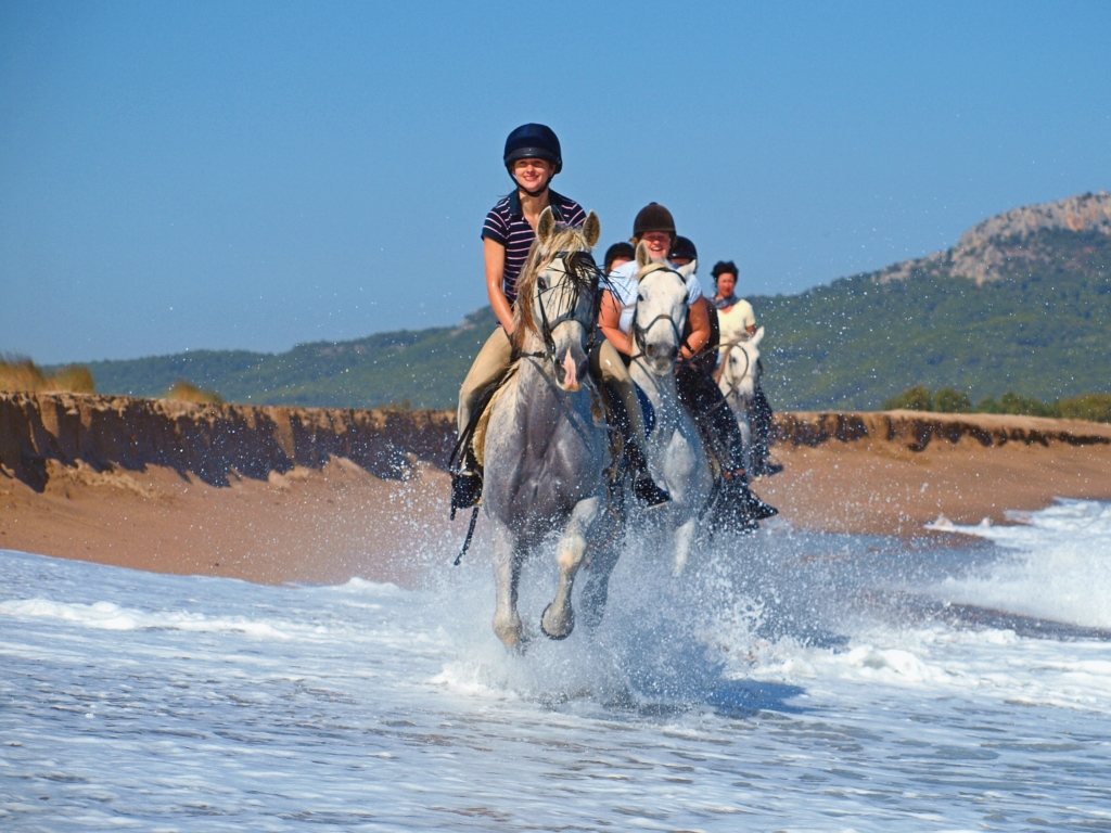Ride the chariot. Horse riding in Spain. Adventure - Spain Seven degrees. Reiten.