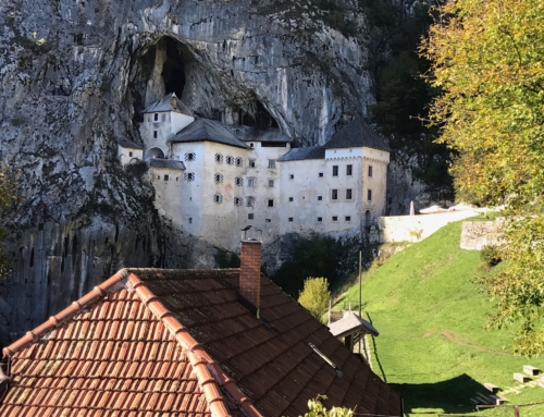 An Ode to the Schnapps of Slovenia